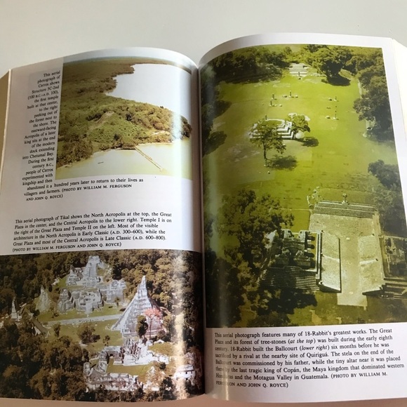 A forest of kings, the untold story of the ancient Maya Linda Schele VTG book - Picture 4 of 8